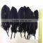 Hot Sell Black and White Artificial Goose Feather Supplier
