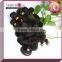 NEW hair 2016 body wave brazilian 100% virgin raw unprocessed hair