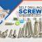 stainless steel pan phillips head self-tapping screw screw