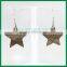 Wave Star Shape Metal Earrings