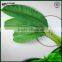 plastic banana leaves