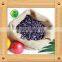 Sunflower Seeds for Birds small seed high oil content