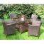 PE Poly Rattan Outdoor / Garden Furniture