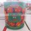 Hot Sell 70g-3000g Canned Tomato Paste 28-30%