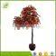 high simullation plastic maple bonsai tree in promotion
