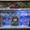 toys display case, led acrylic lighted display case for hot toys, lighted glass display case