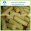 Cooking Frozen Spring Rolls