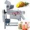 fresh fruits juice extractor stainless steel small manufacturing machines