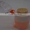 new product nice bamboo toothpick holder