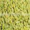 China Natural Snack Dried Green Raisins With Best Quality for Sales