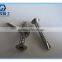 Metric slotted pan head tapping screws