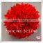 2016 new arrival wedding cheerleading pom poms crafts