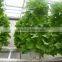 Organic liquid seaweed fertilizer for agriculture
