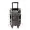 Professional PA active trolley rechargeable speaker with bluetooth FM