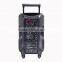 Professional wholesale fashion 10 inch big power trolley battery speaker