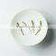 Bai Hao Yin Zhen Silver Needle White Tea