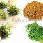 FENUGREEK SEEDS