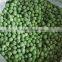 Best quality iqf frozen green pea