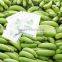 Direct factory price the good quality Ethylene Ripener for banana(14)