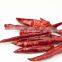 DRIED RED CHILLI WHOLE