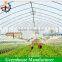 Economic uv coated vegetables film greenhouse