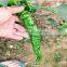 the latest F1 hybrid early maturing long green pepper chill seeds vegetable seeds to plant