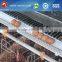 rooster chicken cage equipment for big poultry farm