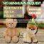 lovely teddy bear plush toy with sublimation printable T-shirt