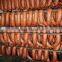 Sheep casing for make sausage