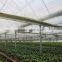 Hot galvanized steel structure greenhouse