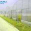 hot sale galvanized pipe with plastic film greenhouse for crops or commercial use