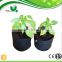 HYDROPONICS FABRIC GROW POT/PLANT GROWTH POT