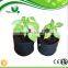 garden plant grow pot/durable felt fabric garden planting pot bags/garden grow bags