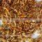Pet food for Reptiles Microwave Dried Gammarus;Gammarus for Reptiles