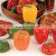 Plastic Pepper Saver