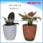 Concrete garden plant pot for sale