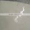 GIANT SQUID FILLETS DOSIDICUS GIGAS 2KG-4.5KG