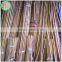 Large Dry Raw Moso Bamboo Poles for Sale 20mm-40mm