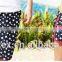 Hot sale custom printing couple beach shorts made in china
