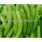 High quality Balsam pear extract/balsam pear extract powder/Balsam pear powder