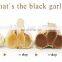 Factory direct sale fermented black garlic making fermenter machine ferment
