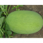 Hot tolerant SHUANGXING f1 big hybrid watermelon seeds outdoor grown