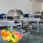 Industrial orange fruit cold press juice extractor with food processor supplier