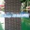 PPGI, RAL Color Coated Galvanized Steel Coil