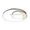 Living Room Iron Chandeliers Lamp Home Indoor Lighting Decoration Acrylic LED Ceiling Lamp