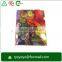 customzied pp L shape clear folder a4 size with CMYK printing