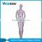 high quality Aquagraphics abstract stand female mannequin