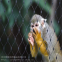 316 Stainless Steel Wire Rope Mesh Stair/Bridge Security Fence Mesh