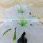 Hot Selling Artificial Lily Flowers for Holiday Decoration
