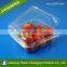 Hot Selling Plastic Transparent Hinged Blister Packaging Boxes for Blueberry and Strawberry